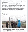 Bar zza płotu.