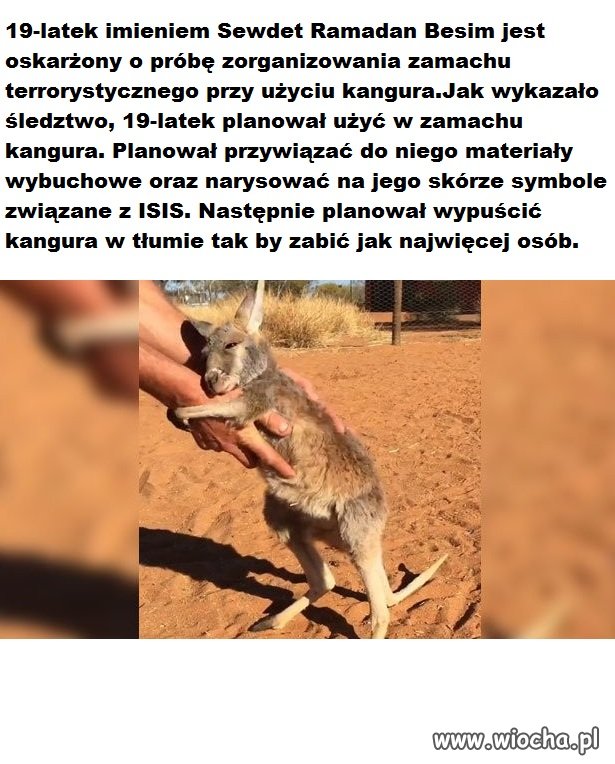 Arab planował zamach terrorystyczny...