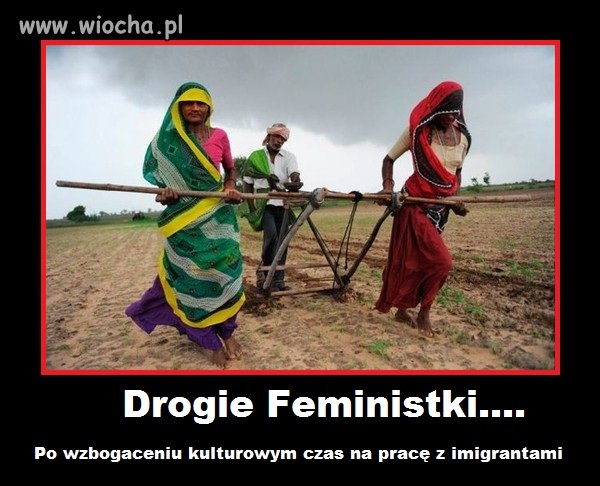 Drogie feministki...