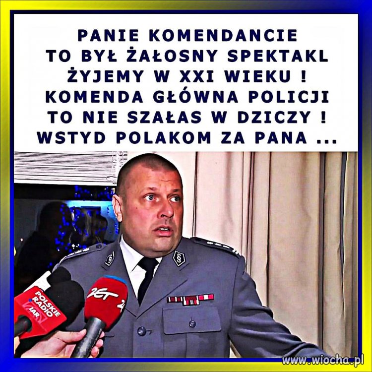 Pitbull. Nowe porządki