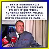 Pitbull. Nowe porządki