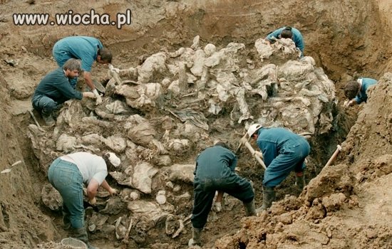 Masowy grób mężczyzn w Srebrnicy