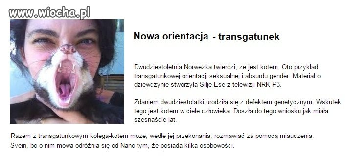 Transgatunek