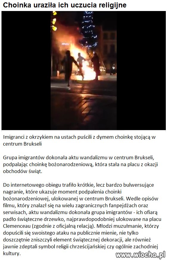 Puścili z dymem choinkę
