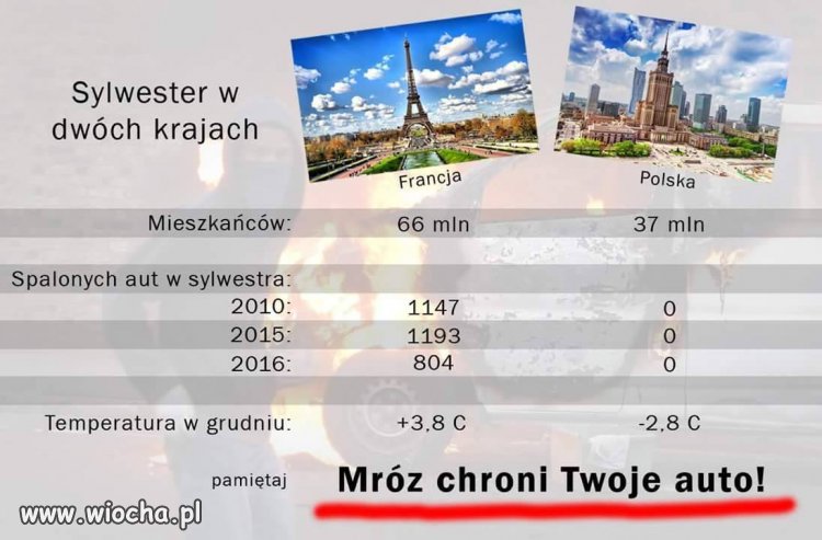 ZIMNA LOGIKA NIE DO PODWAŻENIA 