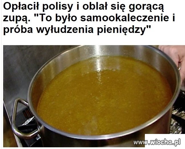 Czyżby to była cebulowa?