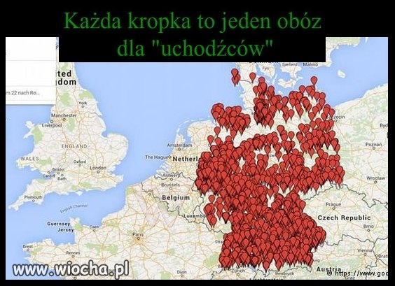 Co jak co, ale w budowaniu obozów