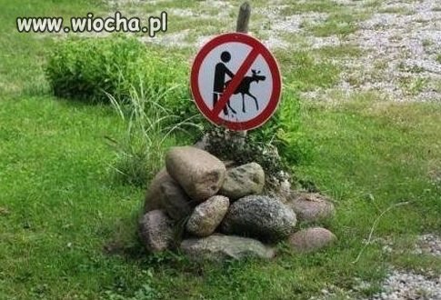Informacja 