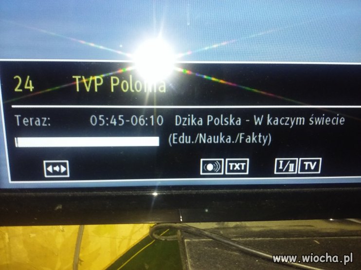 Dzisiaj w TV POLONIA