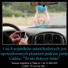 Coś w tym jest