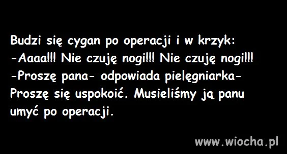 Pan cygan
