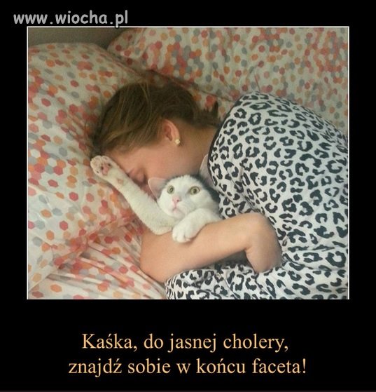 Moja pierwsza wstawka