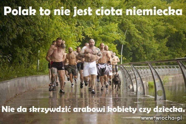 Polak to nie ciota niemiecka 