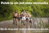 Polak to nie ciota niemiecka 
