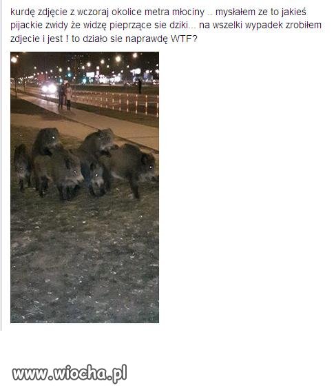 Orgia w centrum miasta.