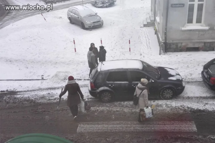 BigMistrz parkowania. 