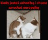 Takie są... muzole