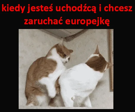 Takie są... muzole