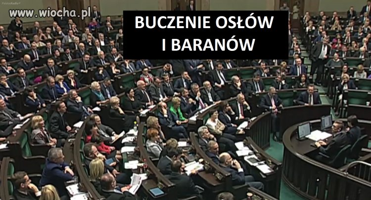 TYLKO TYLE UMIEJĄ