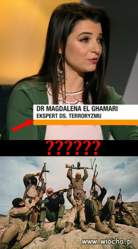 Ekspert do spraw terroryzmu