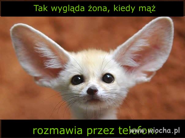 Wygląd żony