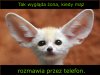 Wygląd żony