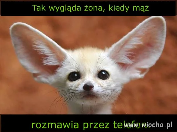 Wygląd żony
