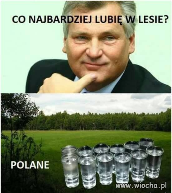 Polane