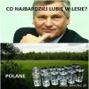 Polane
