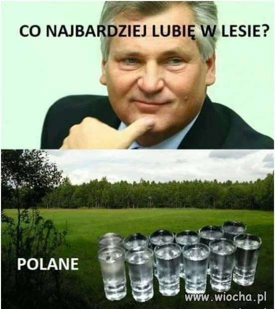 Polane