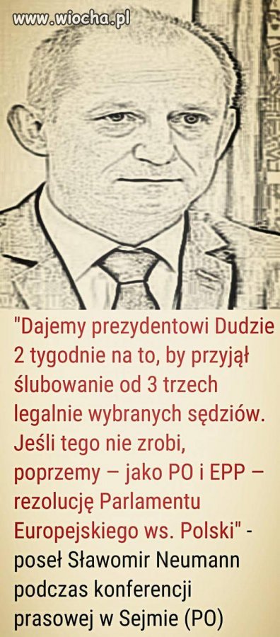 Bez krzty wstydu