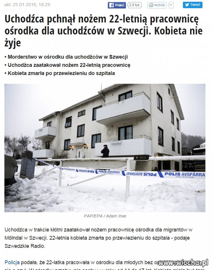 Najwidoczniej Szwedzi nie mają innego problemu