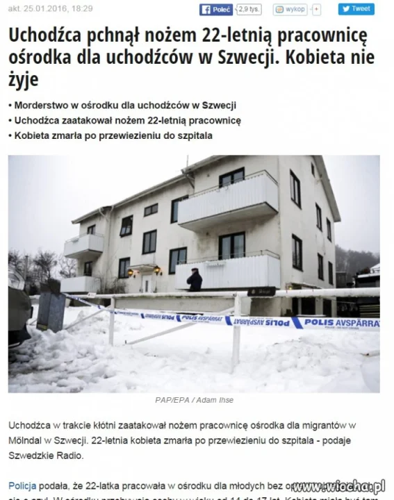 Najwidoczniej Szwedzi nie mają innego problemu