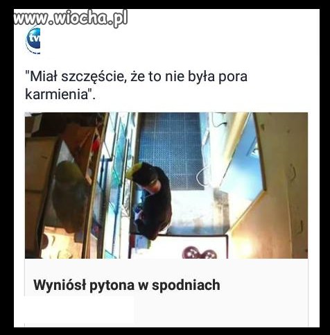 No i po chłopaku 