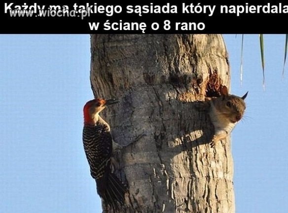 Też tak macie?