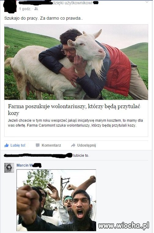 Szukają do pracy...