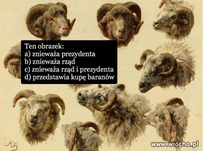 Prawidłowa odpowiedź to ...