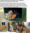 Wyrzuciła psa na śmietnik bo się wyprowadziła.