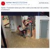 Czyżby robiły kciuka?