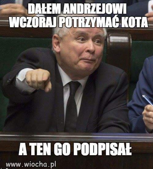 No i kot już nie jest