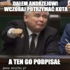 No i kot już nie jest