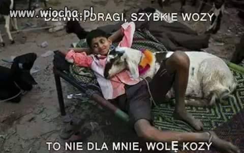  Prawdziwy muzułmański patriota