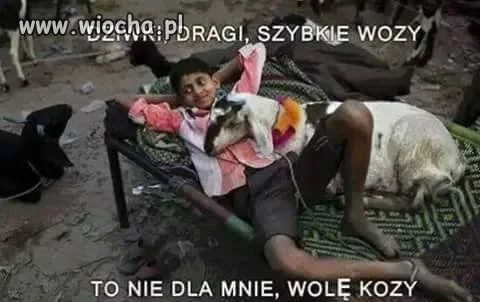  Prawdziwy muzułmański patriota