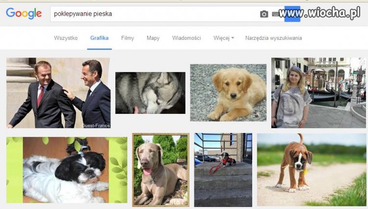 Wpisz w google "poklepywanie pieska"