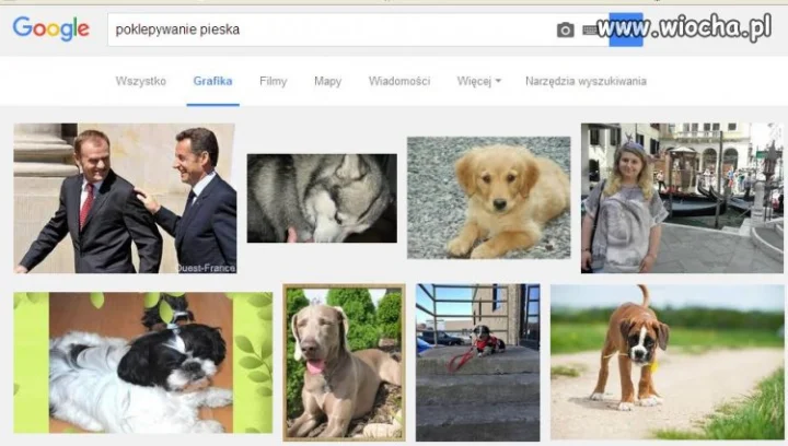 Wpisz w google "poklepywanie pieska"