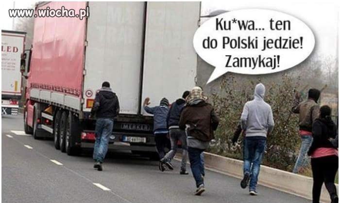 Ahmed zamykaj, ten jedzie do PL