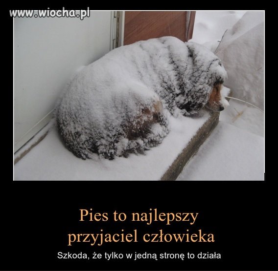 Brak słów