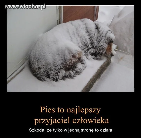 Brak słów