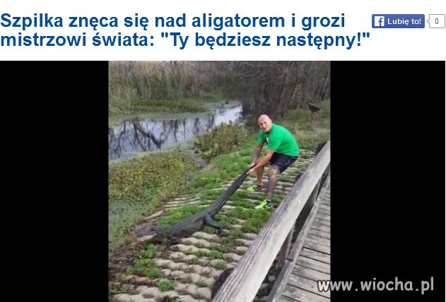 Tylko niech się w niedzielę nie tłumaczy, 