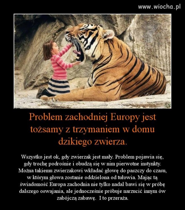 Porównanie jak najbardziej trafne ...